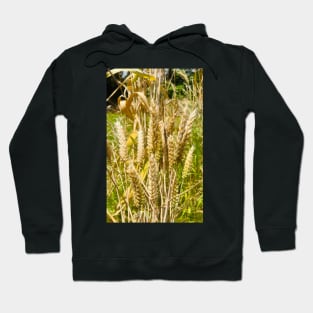 Be Generous with Wheat and Grain for the World Hoodie